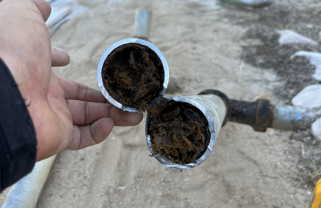 Simple Ways to Start Composting Food Waste and Keep It From Clogging Drain Lines